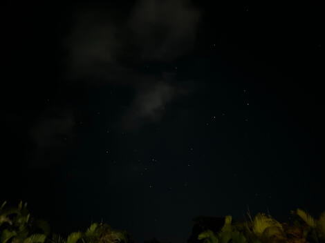 scorpius from some place in Puerto Rico, possibly Aguadilla