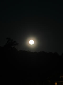 same as the last one...no clue where it came from